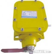 縱向撕裂開關(guān)YHZL-I、YHZL-IIBZL-220B防爆縱向撕裂保護裝置